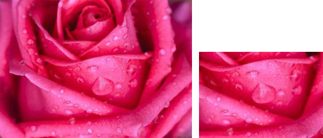 理光3000復印機 高質量畫質